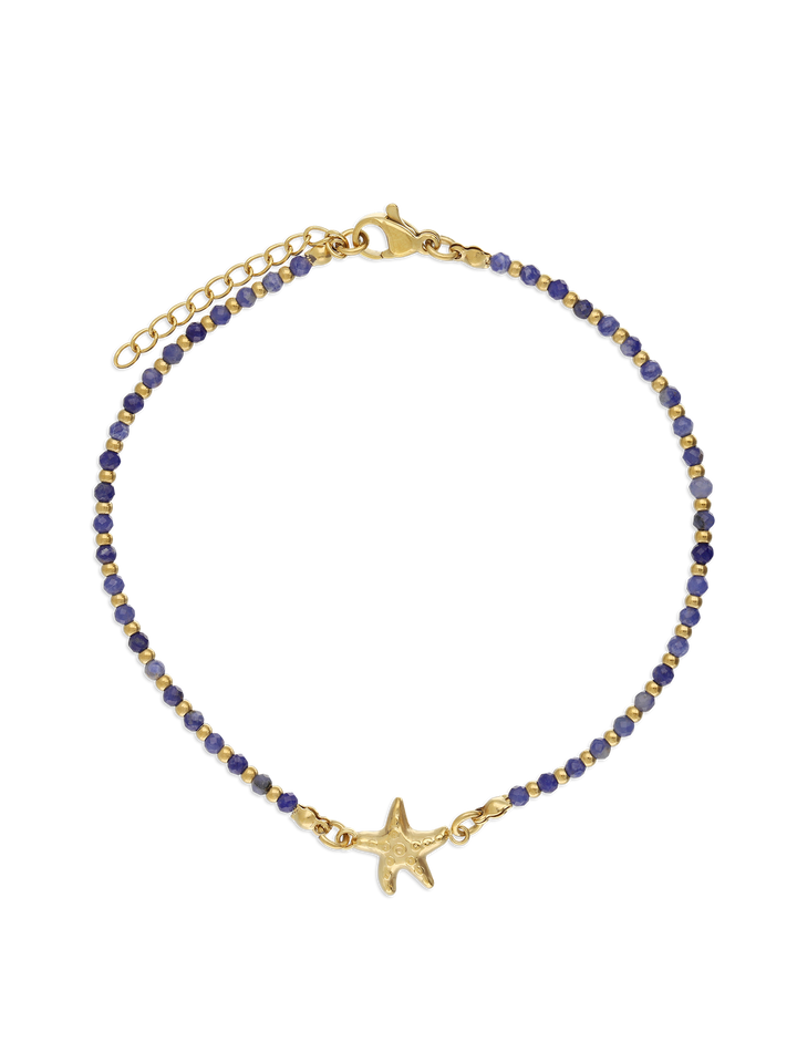 Pulseira para Tornozelo de Aço Inoxidável Banhado a Ouro com Lápis Lazuli