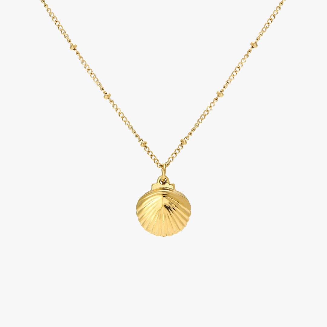 Seashell Necklace