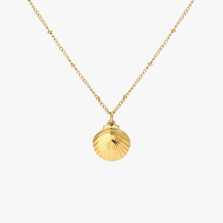 Seashell Necklace