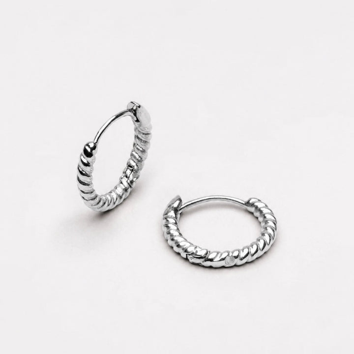 Twisted Hoops Earrings